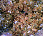 Griechenland Mineralien Lavrion Jean Baptiste Segnetit