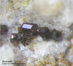 Mineralien Eifel Bellerberg Andradit