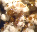 Mineralien Eifel Bellerberg Andradit