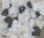 Mineralien Eifel Bellerberg Andradit