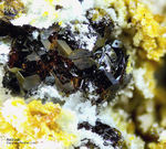 Mineralien Eifel Bellerberg Andradit