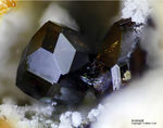 Mineralien Eifel Bellerberg Andradit