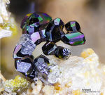 Mineralien Eifel Bellerberg Andradit
