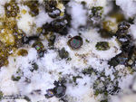 Mineralien Eifel Bellerberg Andradit