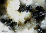 Mineralien Eifel Bellerberg Andradit