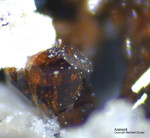 Mineralien Eifel Bellerberg Andradit