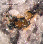 Mineralien Eifel Bellerberg Augit