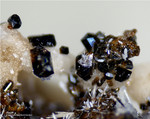 Mineralien Eifel Bellerberg Augit