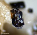 Mineralien Eifel Bellerberg Augit