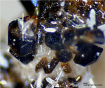 Mineralien Eifel Bellerberg Augit