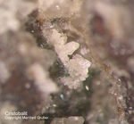 Eifel Mineralien Bellerberg Cristobalit