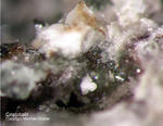 Eifel Mineralien Bellerberg Cristobalit