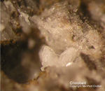 Eifel Mineralien Bellerberg Cristobalit