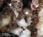 Eifel Mineralien Bellerberg Cristobalit