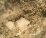 Eifel Mineralien Bellerberg Cristobalit