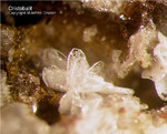 Eifel Mineralien Bellerberg Cristobalit