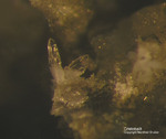Eifel Mineralien Bellerberg Cristobalit