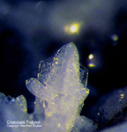 Eifel Mineralien Bellerberg Cristobalit