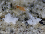 Eifel Mineralien Bellerberg Cristobalit