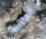 Eifel Mineralien Bellerberg Cristobalit
