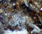 Eifel Mineralien Bellerberg Cristobalit
