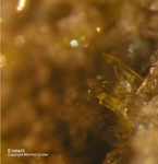 Eifel Mineralien Bellerberg Enstatit