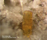 Eifel Mineralien Bellerberg Hornblende