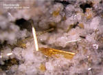 Eifel Mineralien Bellerberg Hornblende