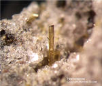 Eifel Mineralien Bellerberg Hornblende