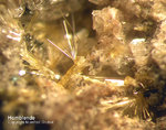 Eifel Mineralien Bellerberg Hornblende