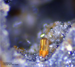 Eifel Mineralien Bellerberg Hornblende