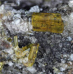 Eifel Mineralien Bellerberg Hornblende