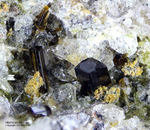 Eifel Mineralien Bellerberg Hornblende