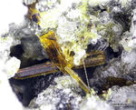 Eifel Mineralien Bellerberg Hornblende