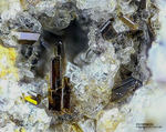 Eifel Mineralien Bellerberg Hornblende