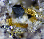 Eifel Mineralien Bellerberg Hornblende