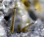 Eifel Mineralien Bellerberg Hornblende