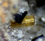 Eifel Mineralien Bellerberg Hornblende