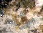 Eifel Mineralien Bellerberg Ternesit