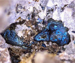 Eifel Mineralien Bellerberg Tenorit