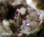 Eifel Mineralien Bellerberg Willhendersonit