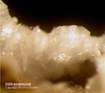 Eifel Mineralien Bellerberg Willhendersonit