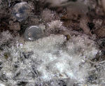 Eifel Mineralien Bellerberg Willhendersonit