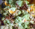 Mineralien Griechenland Lavrion Hilarion Konichalcit