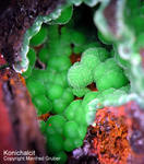 Mineralien Griechenland Lavrion Hilarion Konichalcit