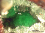 Mineralien Griechenland Lavrion Hilarion Konichalcit