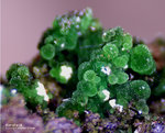 Mineralien Griechenland Lavrion Hilarion Konichalcit