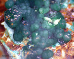 Mineralien Griechenland Lavrion Hilarion Konichalcit