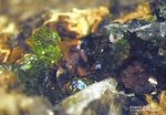 Lavrion Mineralien KM3 Nickeladamin