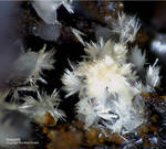 Griechenland Lavrion Mineralien Plaka Aragonit
